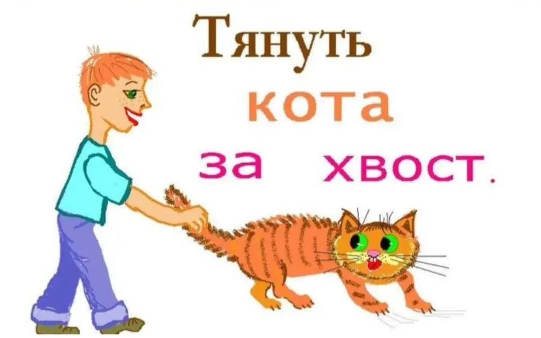 Кот. Хвост. История. Разбираем фразеологизм | Сетка — социальная сеть от hh.ru