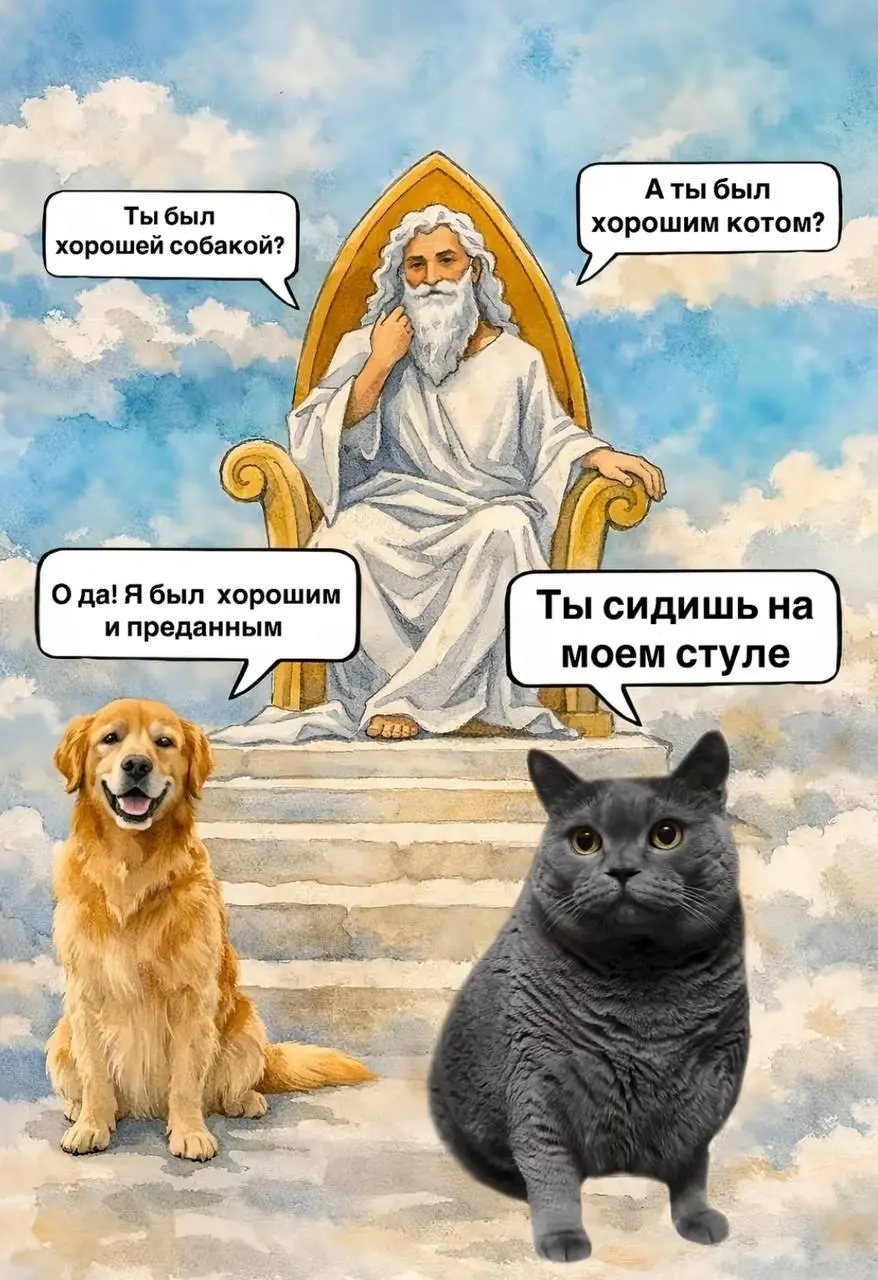 Будь собой, остальное не важно 😂
От любимого клиента Вали ❤️
БЛОГ В ТГ / БЛОГ В MAX
#Юмор #Коты
В этом посте были ссылки, но мы их удалили по правилам Сетки | Сетка — социальная сеть от hh.ru