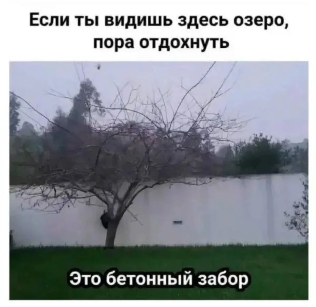 А сегодня вторник 🤓 | Сетка — социальная сеть от hh.ru
