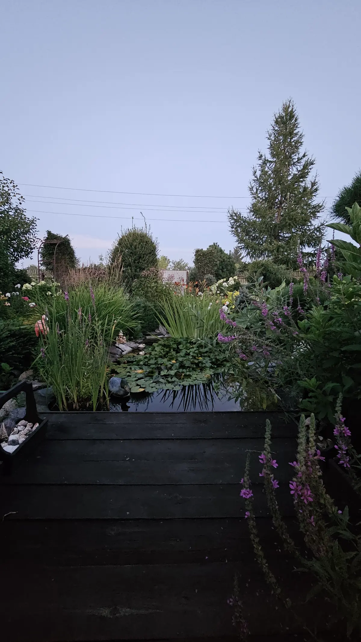 Про отдых и балланс: между дедлайнами и пионами🌸 | Сетка — социальная сеть от hh.ru