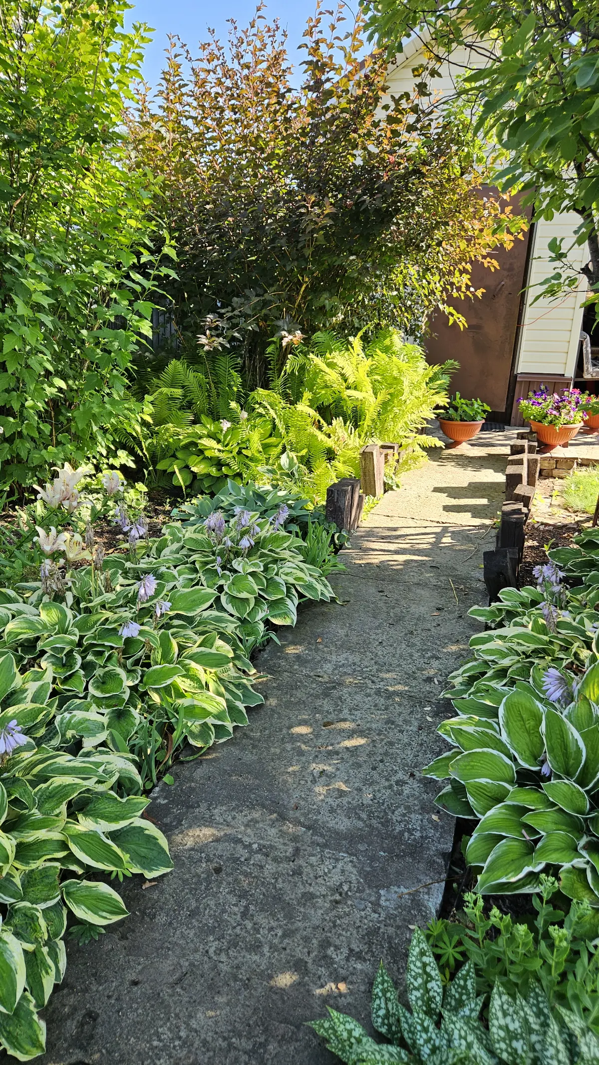 Про отдых и балланс: между дедлайнами и пионами🌸 | Сетка — социальная сеть от hh.ru