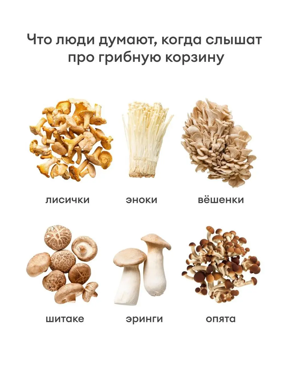 Сммщик Самоката спалил нашу грибную корзину. Да, и что, не преступление! 🍄 | Сетка — социальная сеть от hh.ru