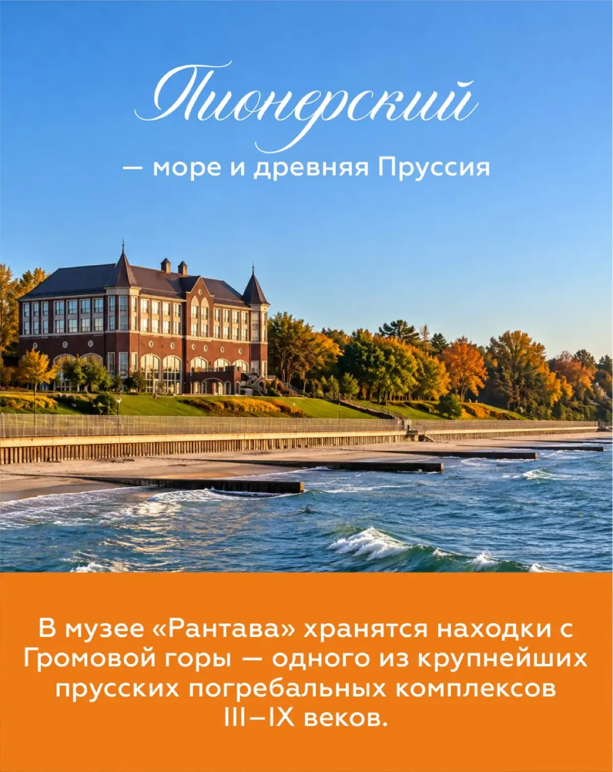 🌊 ЗАгадка: один город отдал улицы котам, другой выбрал улитку символом спокойной жизни, а в лесу сосны завязываются в кольца | Сетка — социальная сеть от hh.ru