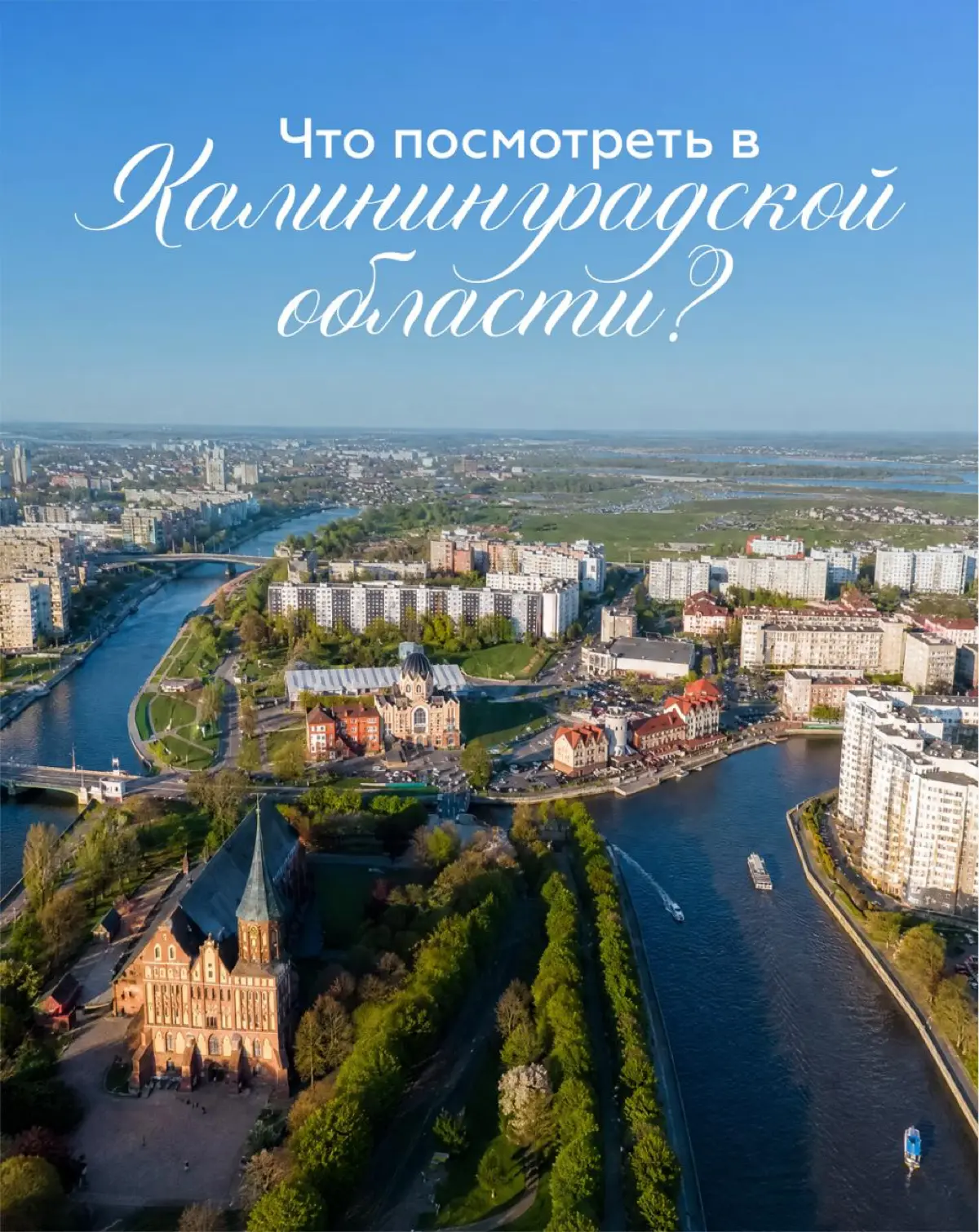 🌊 ЗАгадка: один город отдал улицы котам, другой выбрал улитку символом спокойной жизни, а в лесу сосны завязываются в кольца | Сетка — социальная сеть от hh.ru