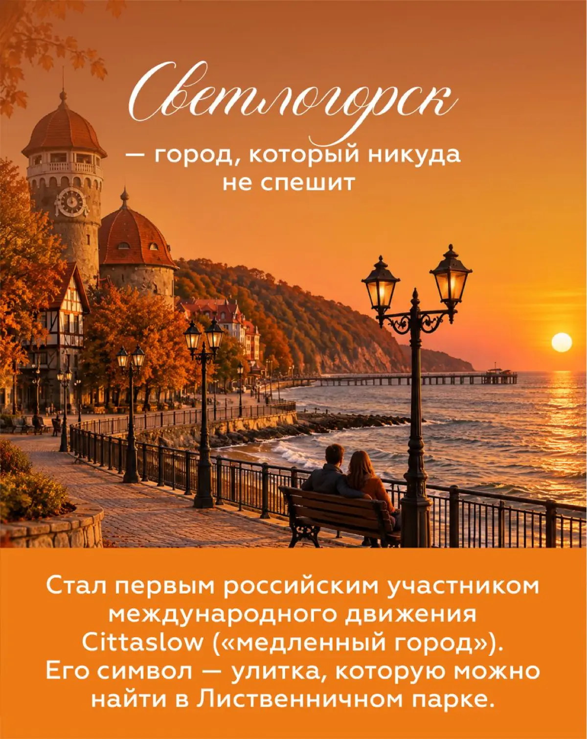🌊 ЗАгадка: один город отдал улицы котам, другой выбрал улитку символом спокойной жизни, а в лесу сосны завязываются в кольца | Сетка — социальная сеть от hh.ru