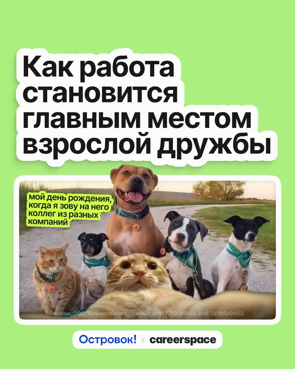 Островку исполнилось 16 лет 🎂
И за эти годы внутри компании завязалось столько тёплых отношений, что мы задумались: почему работа становится для взрослых главным местом, где заводят друзей?
➡️ В карто... | Сетка — социальная сеть от hh.ru