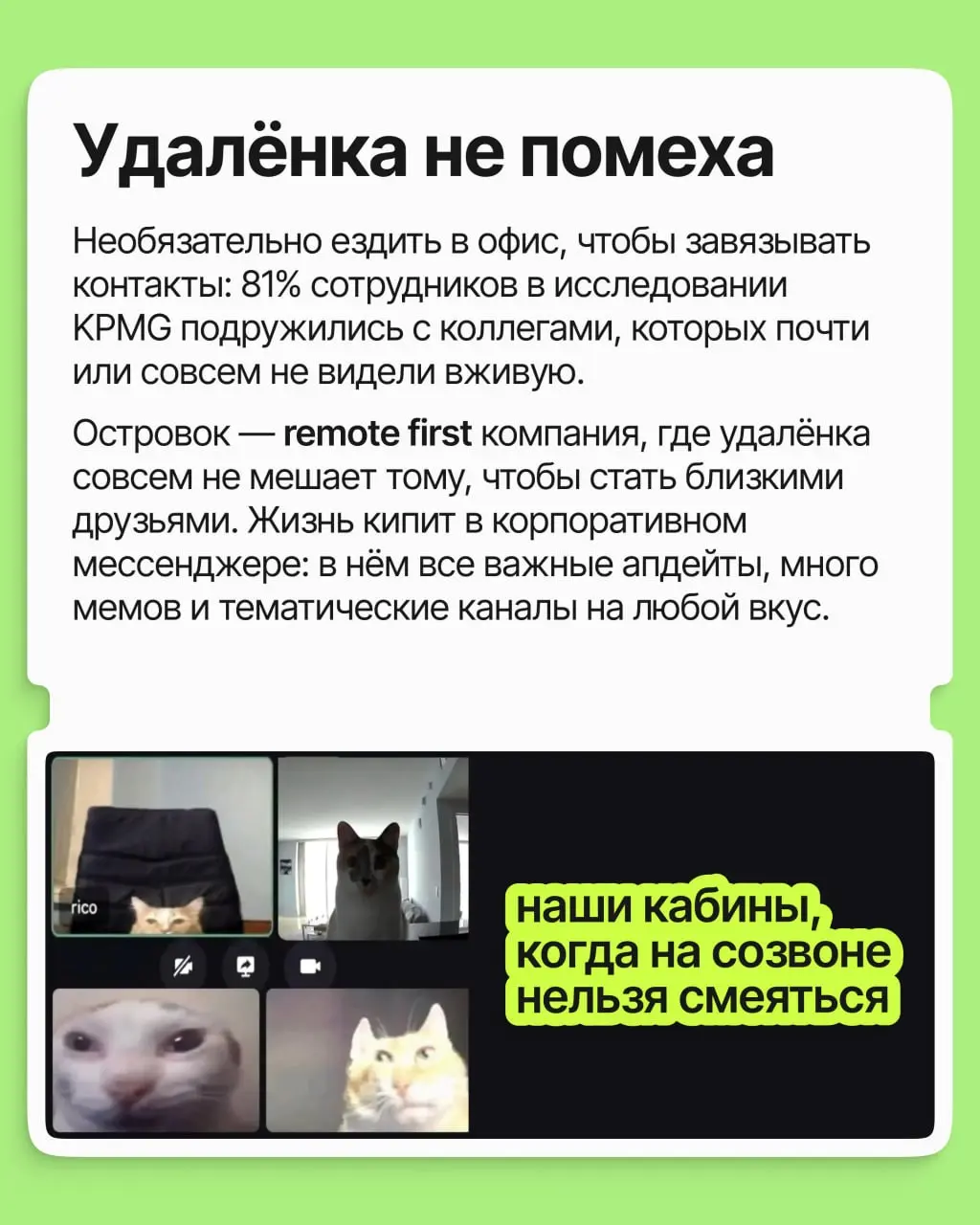 Островку исполнилось 16 лет 🎂
И за эти годы внутри компании завязалось столько тёплых отношений, что мы задумались: почему работа становится для взрослых главным местом, где заводят друзей?
➡️ В карто... | Сетка — социальная сеть от hh.ru