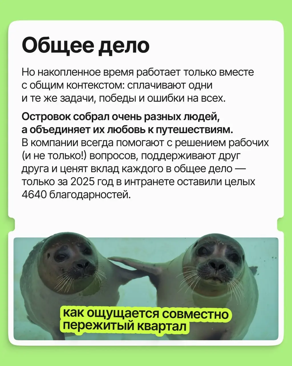 Островку исполнилось 16 лет 🎂
И за эти годы внутри компании завязалось столько тёплых отношений, что мы задумались: почему работа становится для взрослых главным местом, где заводят друзей?
➡️ В карто... | Сетка — социальная сеть от hh.ru