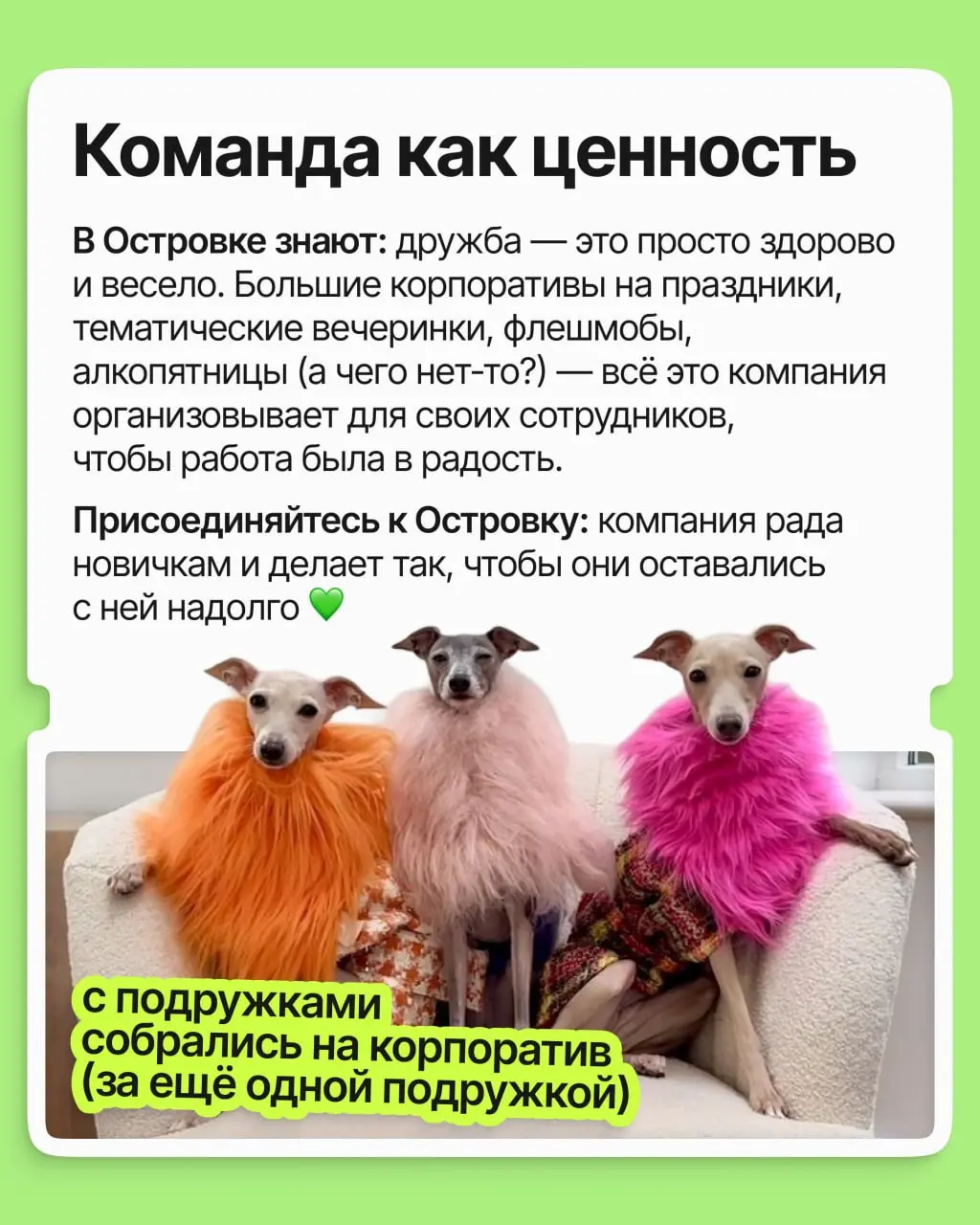 Островку исполнилось 16 лет 🎂
И за эти годы внутри компании завязалось столько тёплых отношений, что мы задумались: почему работа становится для взрослых главным местом, где заводят друзей?
➡️ В карто... | Сетка — социальная сеть от hh.ru