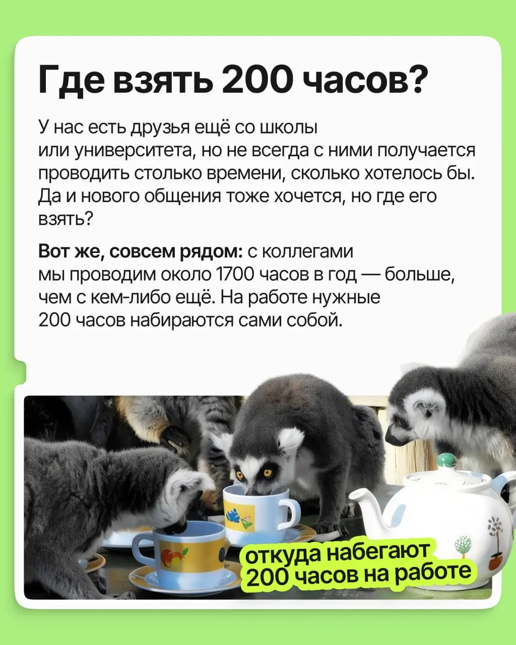 Островку исполнилось 16 лет 🎂
И за эти годы внутри компании завязалось столько тёплых отношений, что мы задумались: почему работа становится для взрослых главным местом, где заводят друзей?
➡️ В карто... | Сетка — социальная сеть от hh.ru