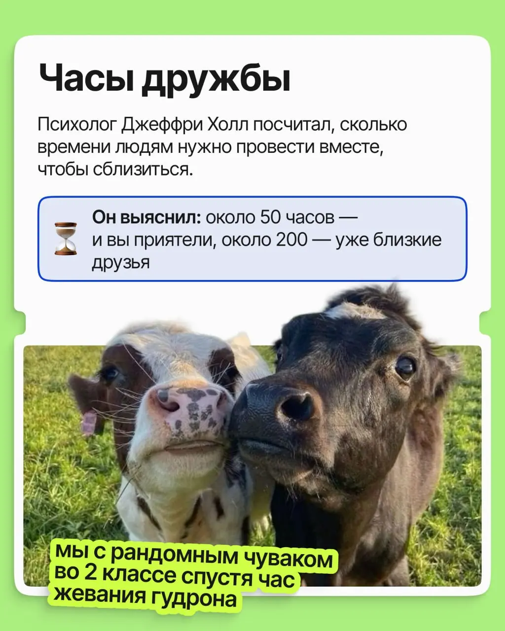 Островку исполнилось 16 лет 🎂
И за эти годы внутри компании завязалось столько тёплых отношений, что мы задумались: почему работа становится для взрослых главным местом, где заводят друзей?
➡️ В карто... | Сетка — социальная сеть от hh.ru