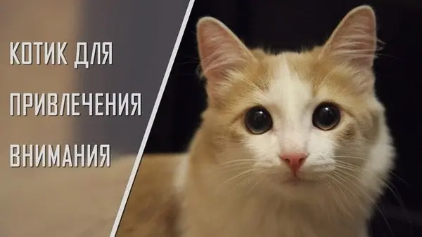 Из бигтеха в стартап: 4 вещи, которые я не ожидал увидеть | Сетка — социальная сеть от hh.ru
