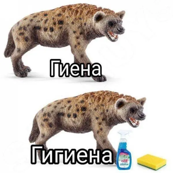 Как не поехать кукухой раньше, чем придет оффер | Сетка — социальная сеть от hh.ru