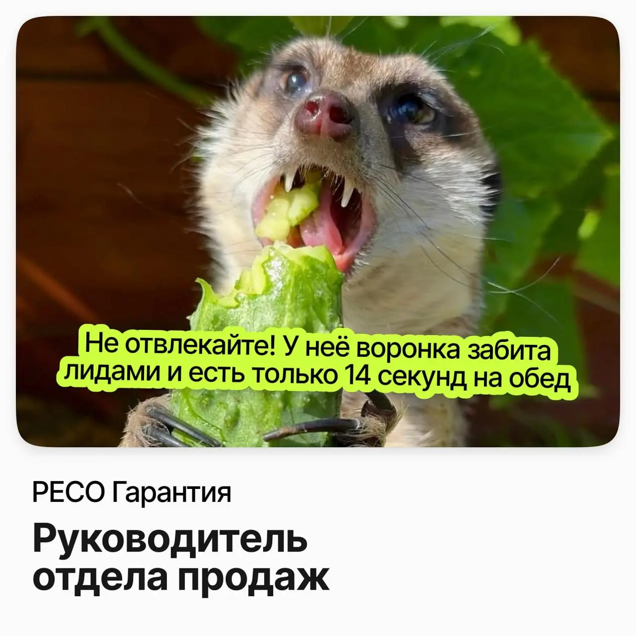 🤑 Руководитель отдела продаж / РЕСО Гарантия
РЕСО Гарантия — одна из крупнейших страховых компаний России.
Ищут руководителя отдела продаж в Санкт-Петербурге | Сетка — социальная сеть от hh.ru
