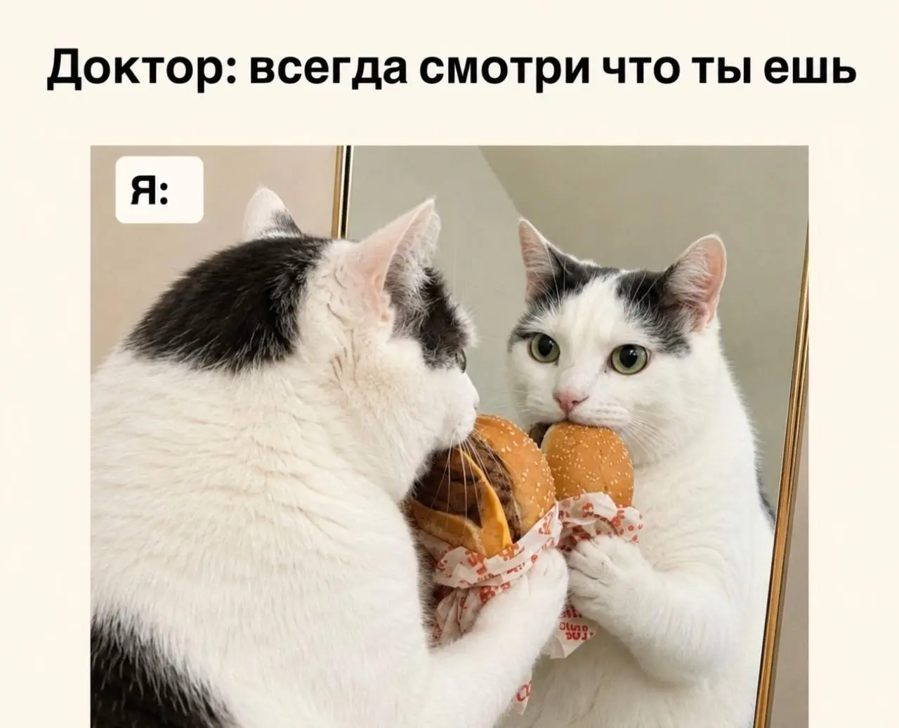 Нужно наблюдать внимательно 😂
БЛОГ В ТГ / БЛОГ В MAX
#Юмор #Коты
В этом посте были ссылки, но мы их удалили по правилам Сетки | Сетка — социальная сеть от hh.ru