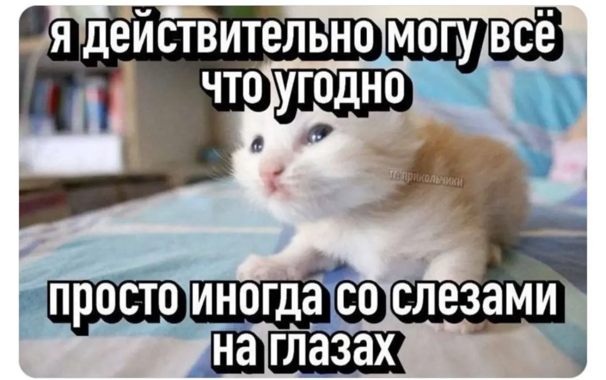 Юристы устали❤️‍🩹 | Сетка — социальная сеть от hh.ru