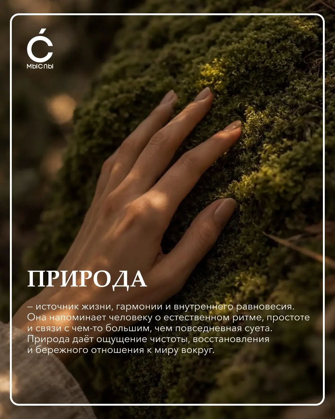 Что на самом деле такое «ценности бизнеса»? | Сетка — социальная сеть от hh.ru
