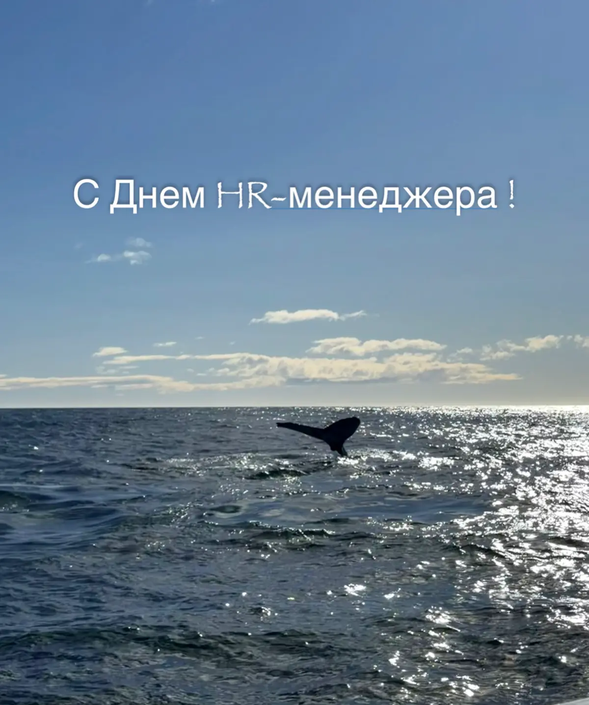 С Днём HR 💙 | Сетка — социальная сеть от hh.ru