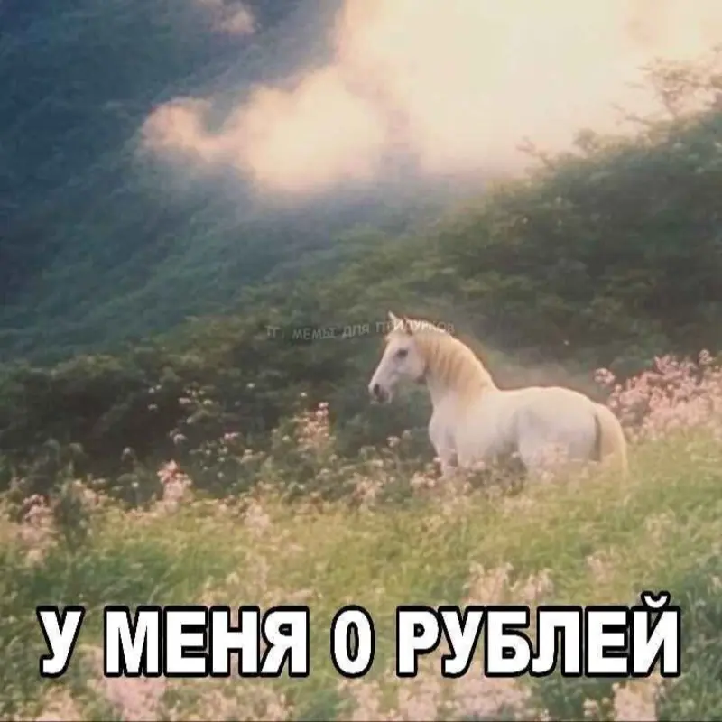 Елизавета  Франц 