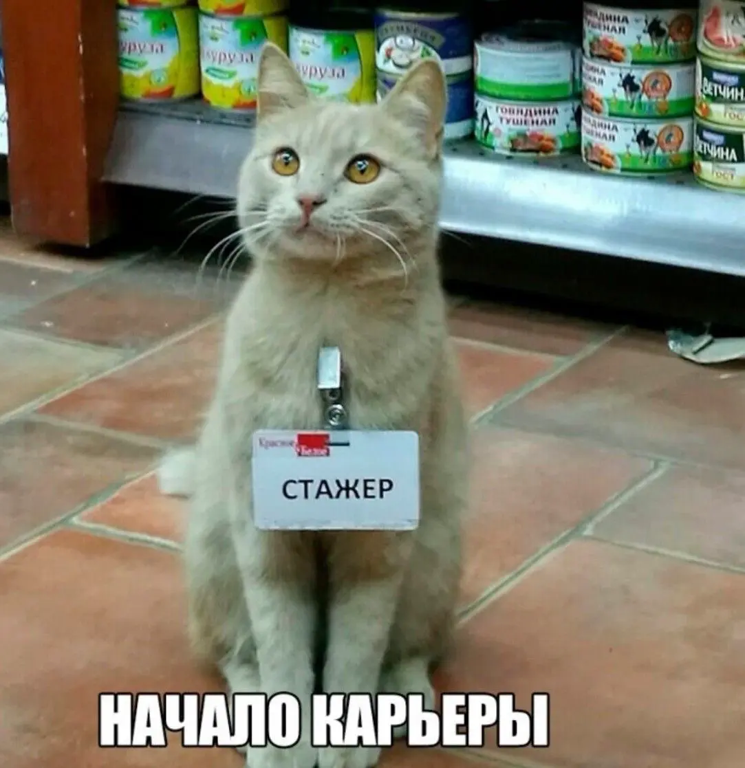Студент на работе, добро или зло? | Сетка — социальная сеть от hh.ru