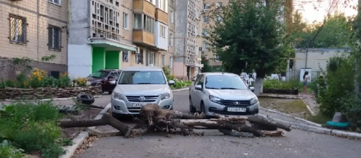Водители перекрыли проезд оперативным службам во дворе Донецка
Автовладельцы припарковались бок о бок в узком дворе на улице Туполева, из-за чего у экстренных служб пропала возможность проехать к дому... | Сетка — социальная сеть от hh.ru
