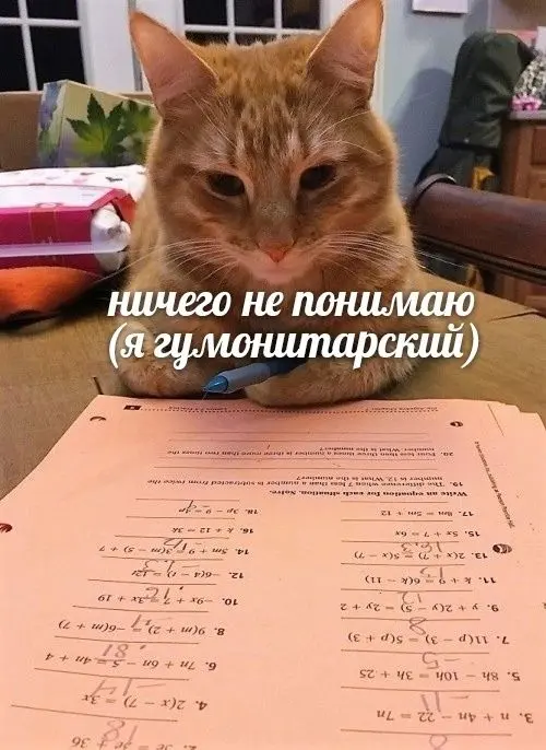 Лирики vs  физики | Сетка — социальная сеть от hh.ru