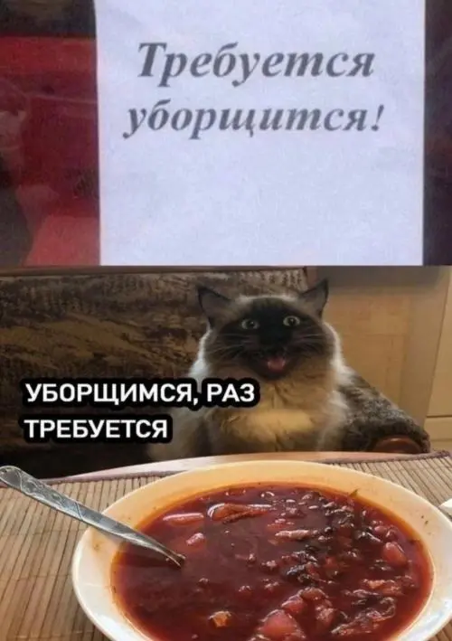 Алексей Романов