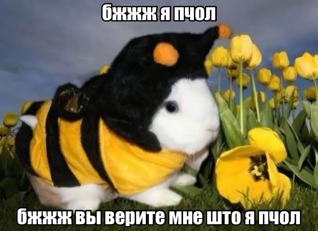 Когда надо быть в потоке и вписаться | Сетка — социальная сеть от hh.ru