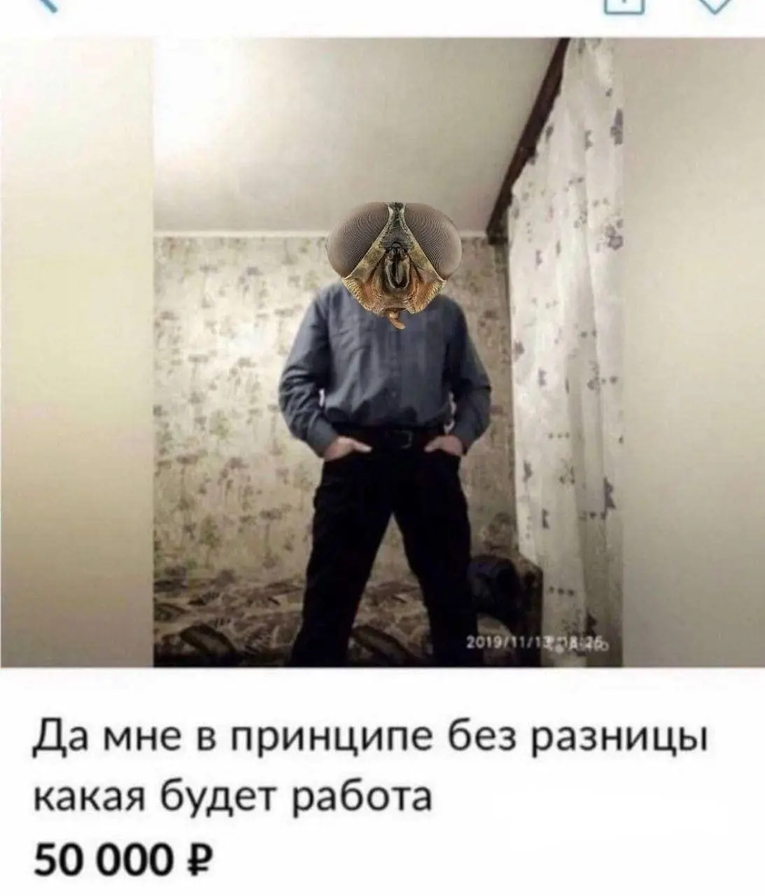 Сетка — социальная сеть от hh.ru