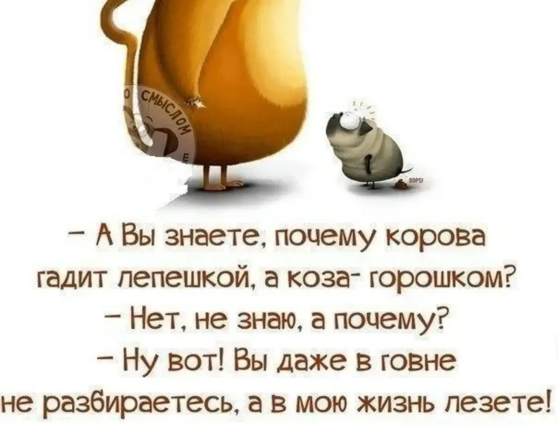 Когда «добрые» советы коллег мешают работать профи. | Сетка — социальная сеть от hh.ru