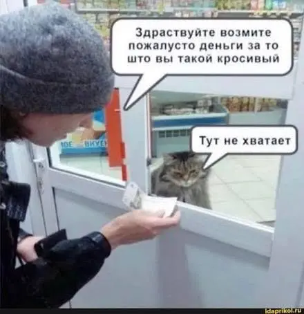 Говорят, зумеры не хотят работать, но хотят зарабатывать | Сетка — социальная сеть от hh.ru