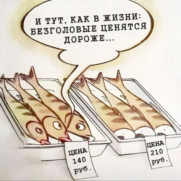 Селяви 🤣 | Сетка — социальная сеть от hh.ru