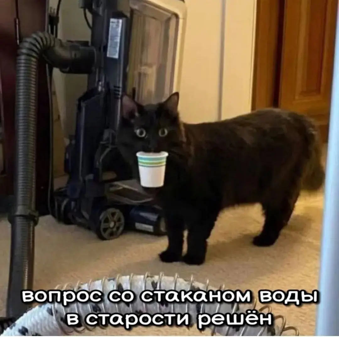 Больше не надо беспокоиться 😂
БЛОГ В ТГ / БЛОГ В MAX
#Юмор #Коты
В этом посте были ссылки, но мы их удалили по правилам Сетки | Сетка — социальная сеть от hh.ru