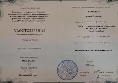 Артем Колесников