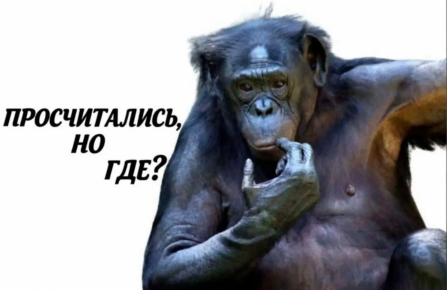 Мы больше ничего не можем сделать просто | Сетка — социальная сеть от hh.ru