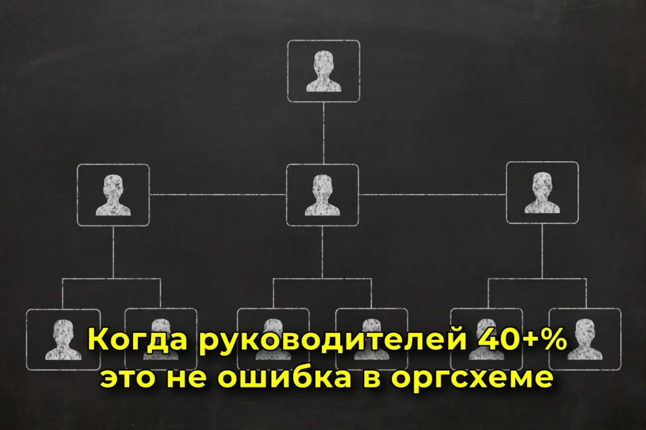 Половина компании начальники. А кто тогда работает? | Сетка — социальная сеть от hh.ru