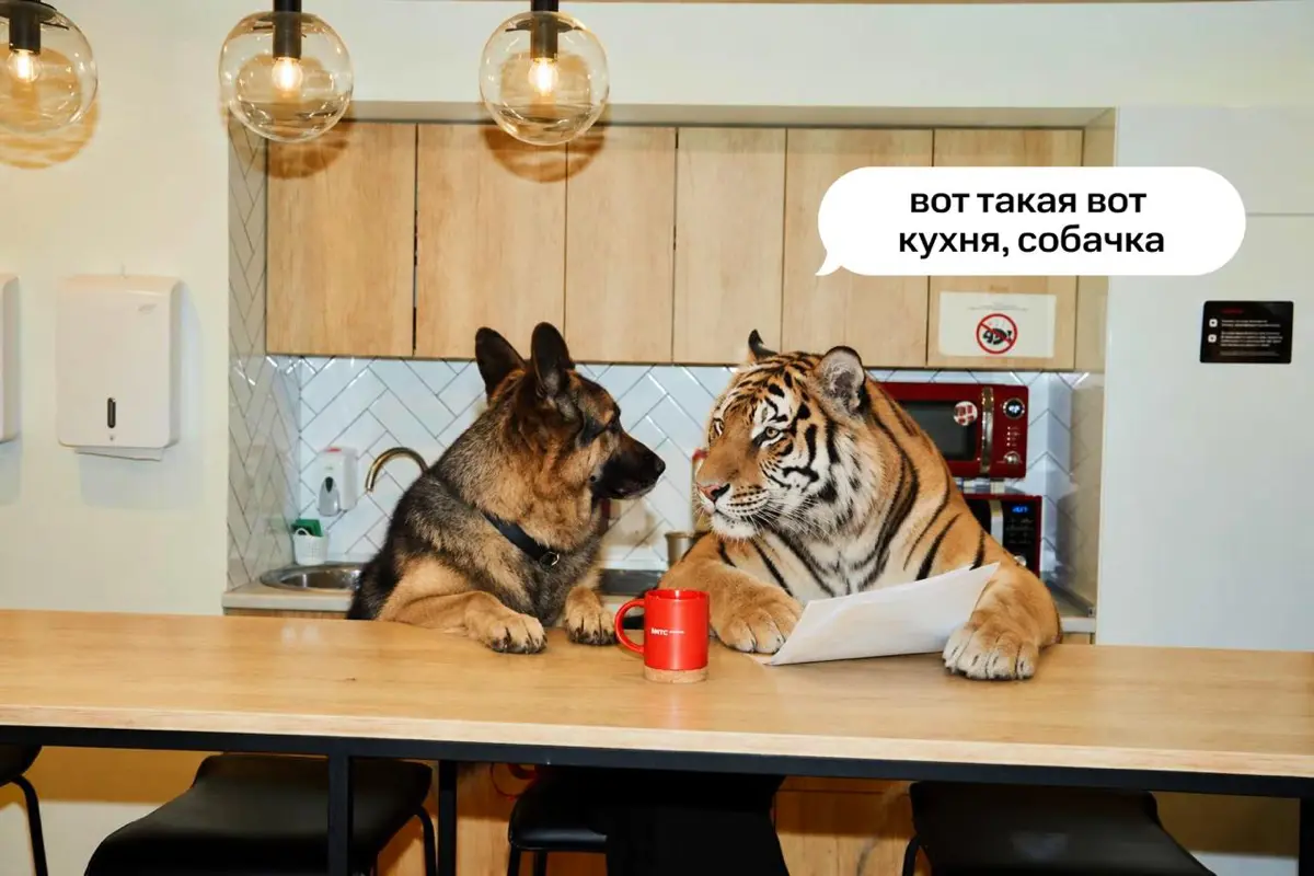 И вот такие вот вакансии | Сетка — социальная сеть от hh.ru