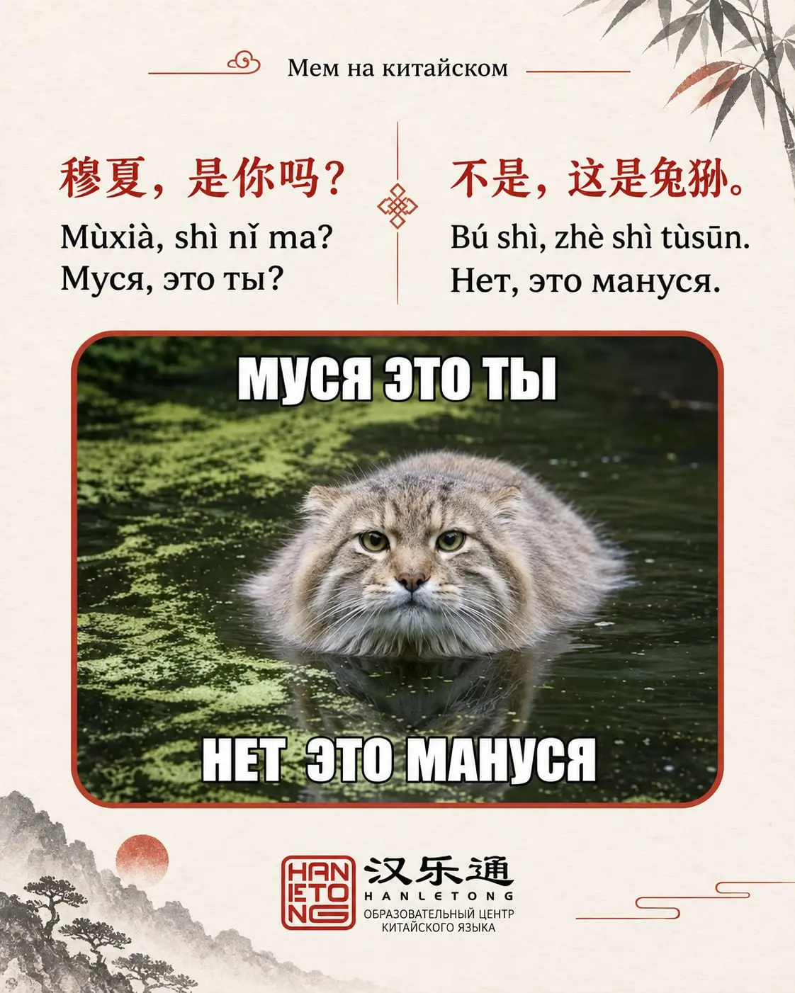 Тренд «Муся, это ты?» на китайском 🇨🇳
Приспосабливаем легендарный мем под языковые реалии! Как бы звучал этот диалог на китайском:
• 穆夏，是你吗？ (Mùxià, shì nǐ ma?) — Муся, это ты?
• 不是，这是兔狲。 (Bú shì, zhè... | Сетка — социальная сеть от hh.ru