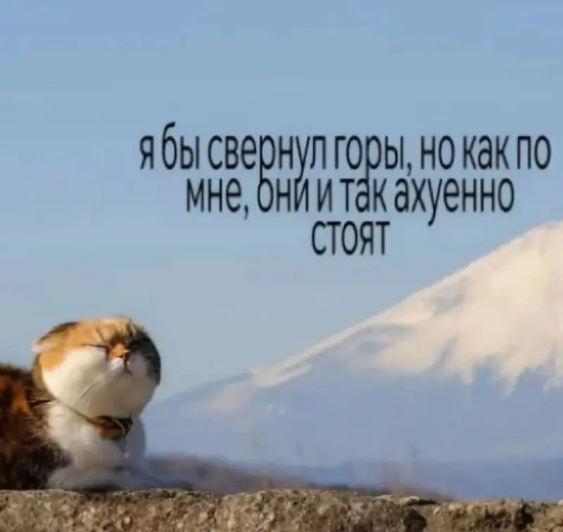Помнишь, как раньше искали работу? 😍
Закинул резюме на пару вакансий, поставил чайник, и к вечеру уже перезванивают. Красота. Так вот, забудь. Этот поезд ушёл и назад не поедет | Сетка — социальная сеть от hh.ru