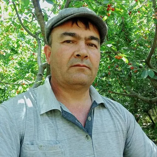 Farkhod Nurboev