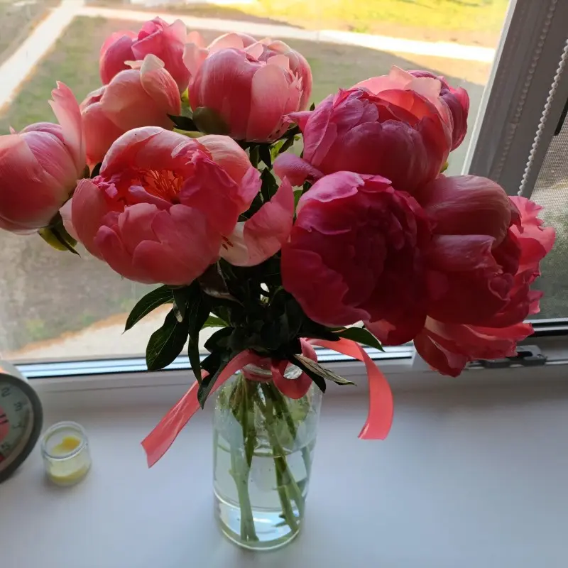 Алёна Ли
