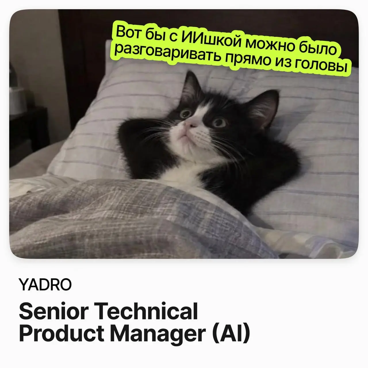 🤖 Senior Technical Product Manager (AI) / YADRO
YADRO — российский разработчик вычислительной техники и инфраструктурных решений.
Ищут Senior Technical Product Manager для AI-направления | Сетка — социальная сеть от hh.ru