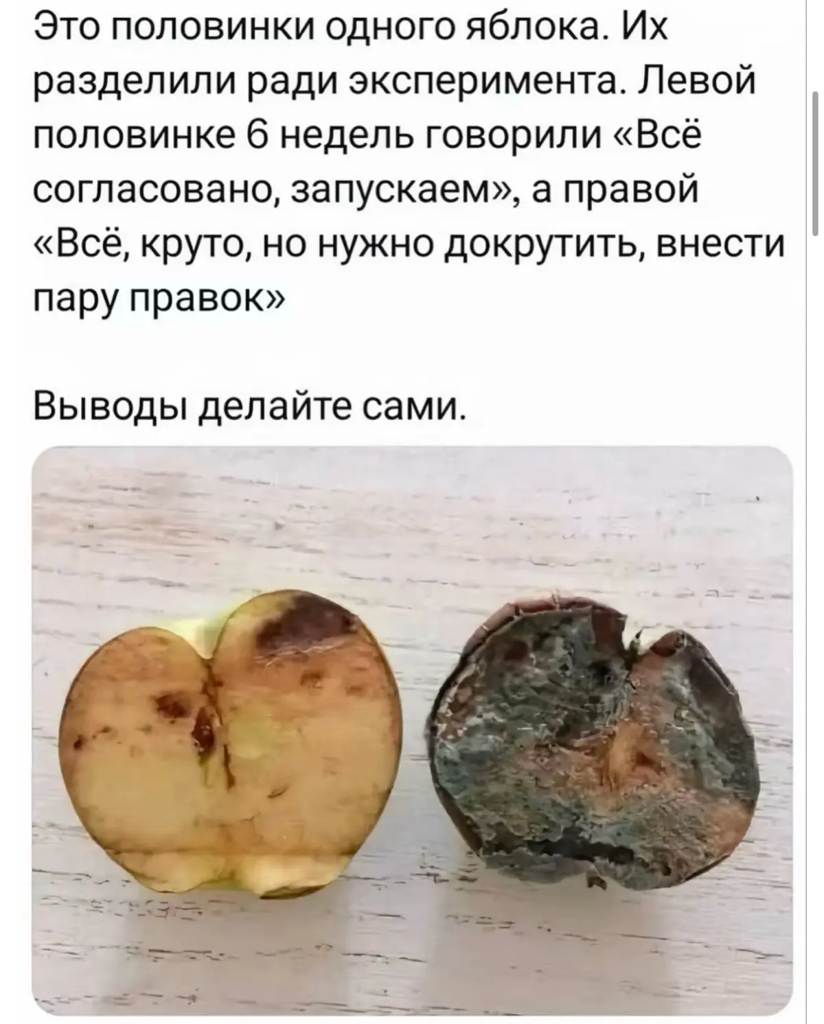 Выводы делайте сами… | Сетка — социальная сеть от hh.ru