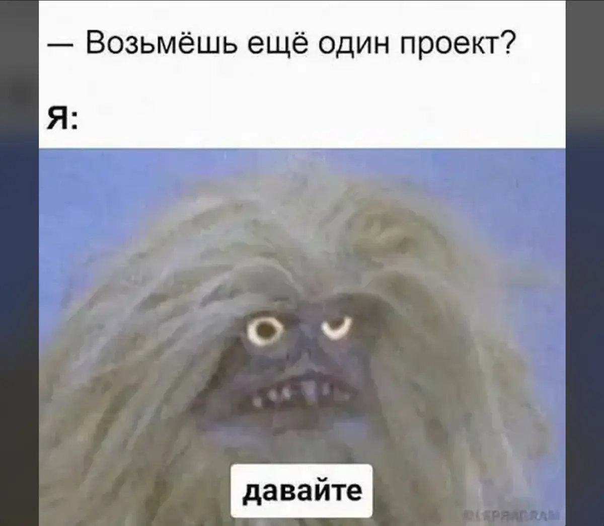 На самом деле я так хочу 😂 | Сетка — социальная сеть от hh.ru