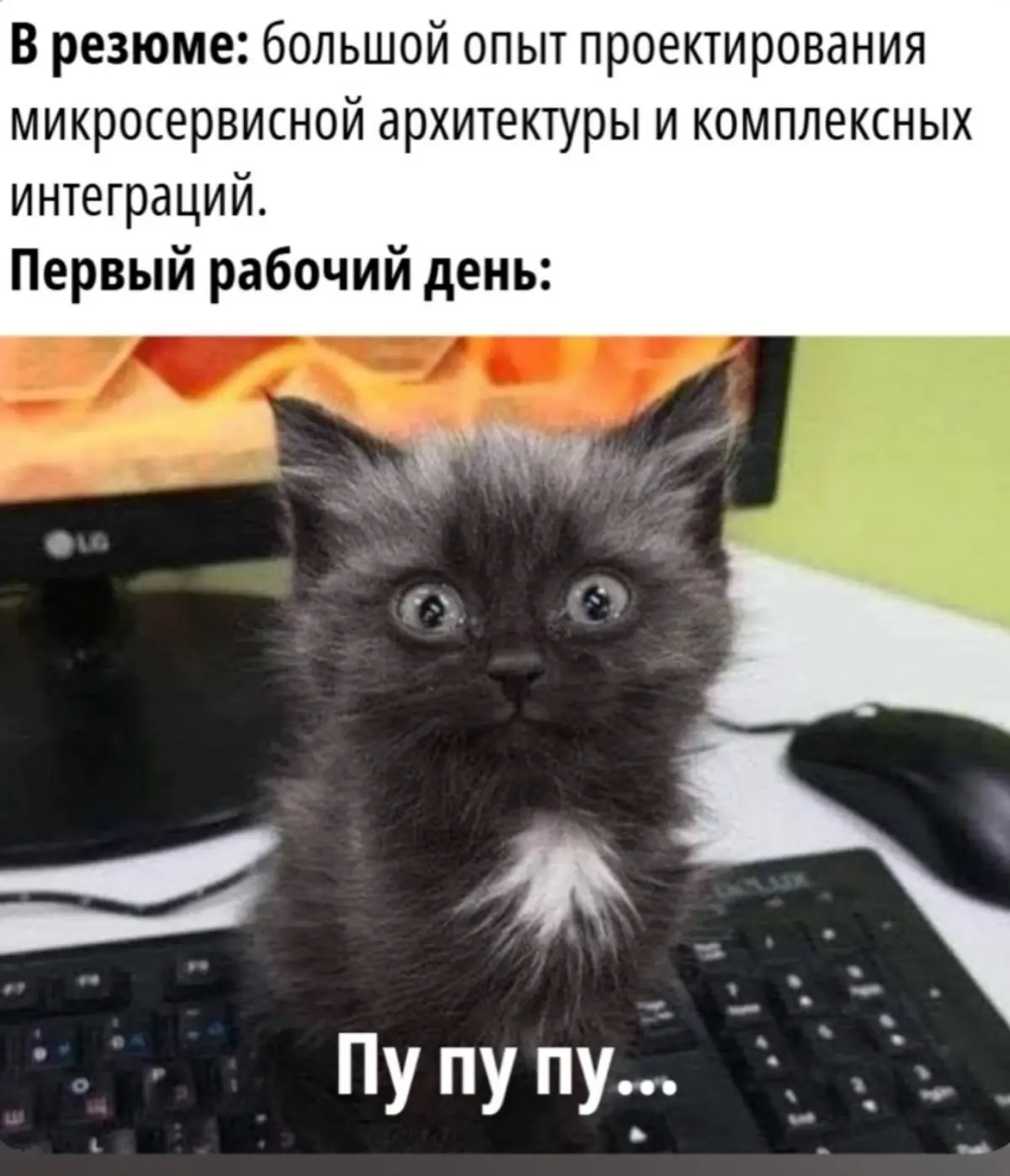 Пу пу пу 😃 | Сетка — социальная сеть от hh.ru