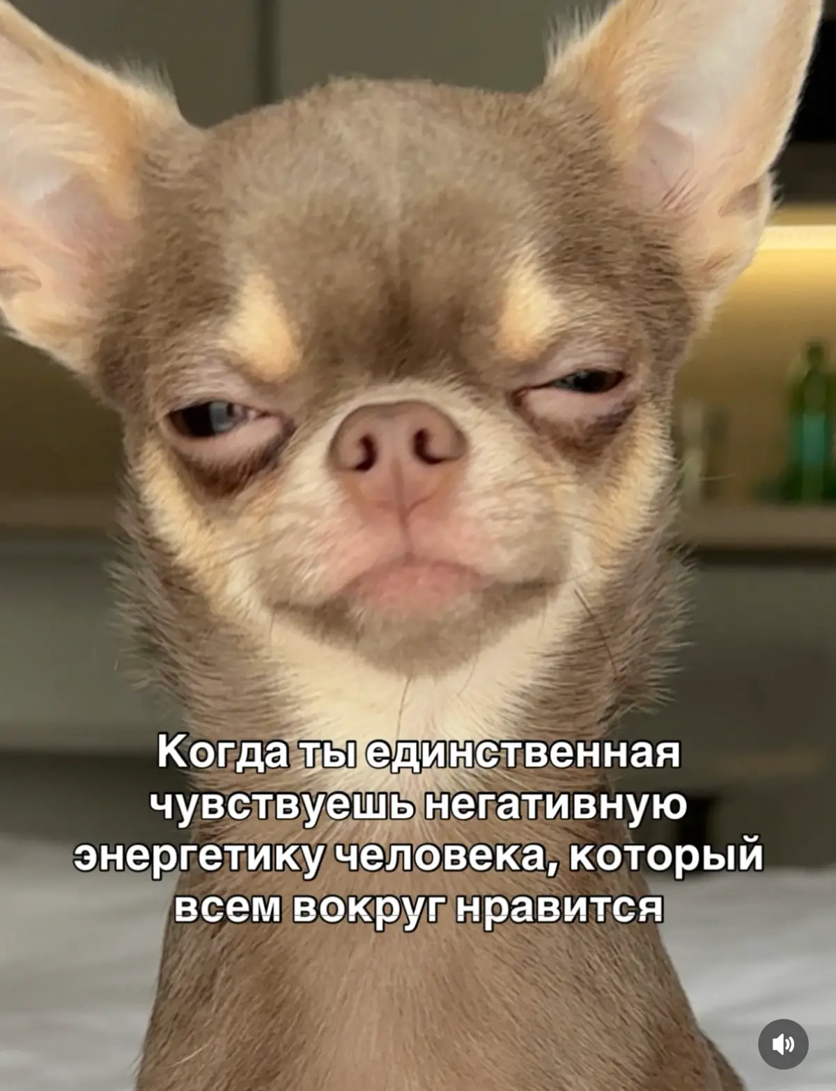 Про деньги, стажировки и мечту о блокбастере 💃 | Сетка — социальная сеть от hh.ru