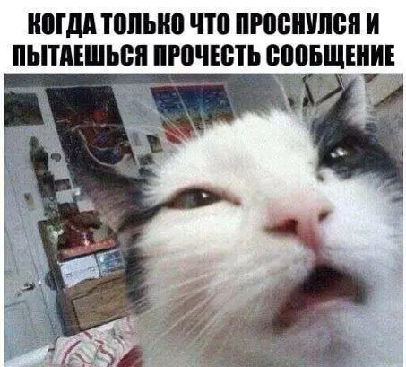 Ещё не загрузился 😂
БЛОГ В ТГ / БЛОГ В MAX
#Юмор #Коты
В этом посте были ссылки, но мы их удалили по правилам Сетки | Сетка — социальная сеть от hh.ru