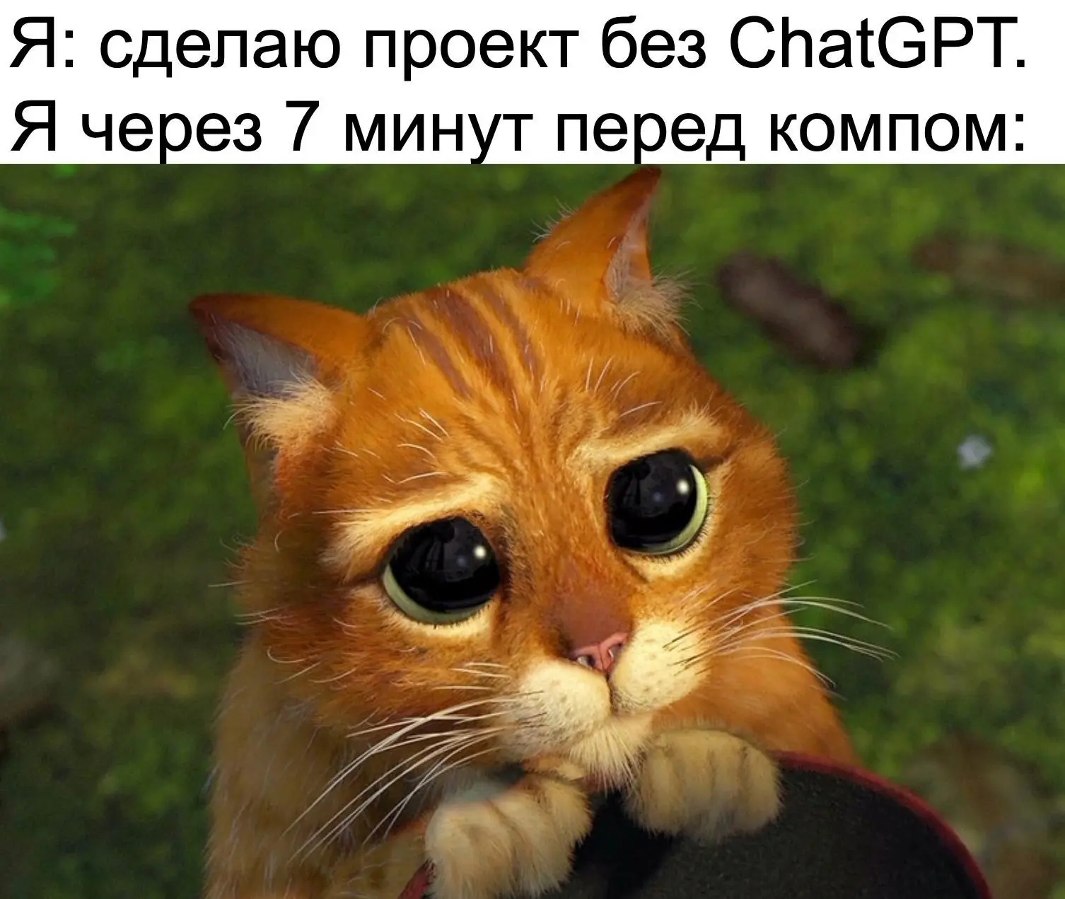 Мемсы #3 — про программистов и стартапы | Сетка — социальная сеть от hh.ru