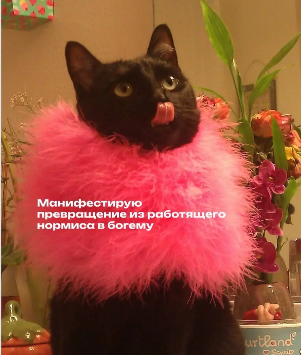 Пятница 🥳 | Сетка — социальная сеть от hh.ru
