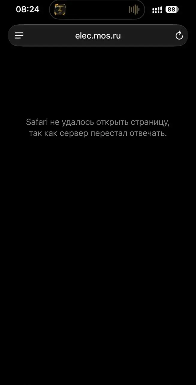 А вы проголосовали? 🤌🏻😒 | Сетка — социальная сеть от hh.ru